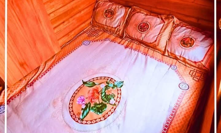ডিঙ্গি - The Classic Houseboat