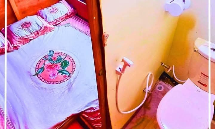 ডিঙ্গি - The Classic Houseboat